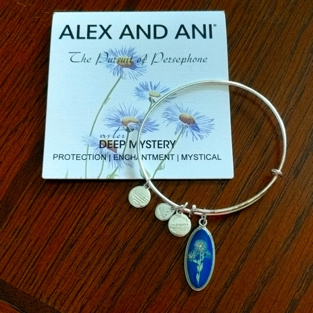 Alex and Ani bracelet.